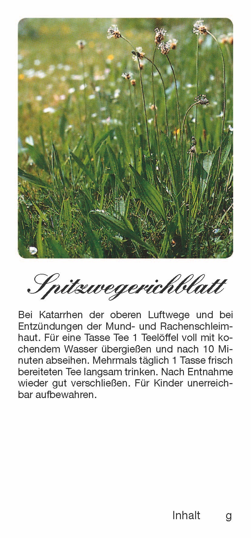 Teehaftetiketten Spitzwegerichblatt